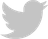 Social Icon